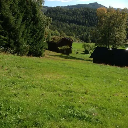 Fyresdal Holiday home *