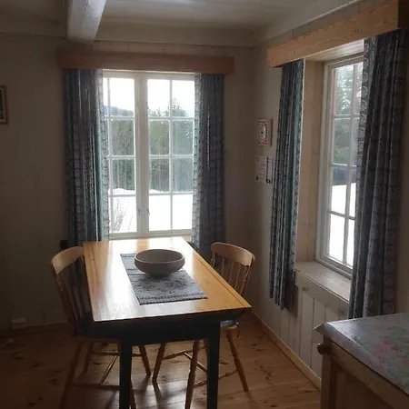 Fyresdal Holiday home *