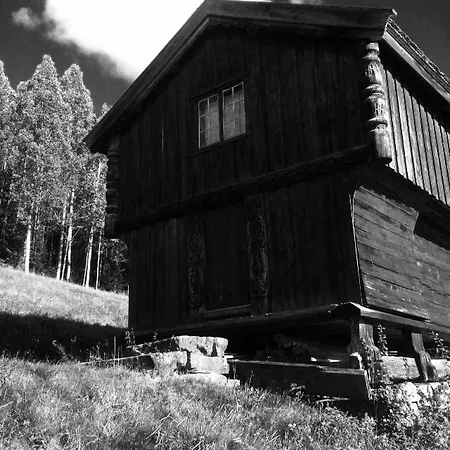 Fyresdal Holiday home