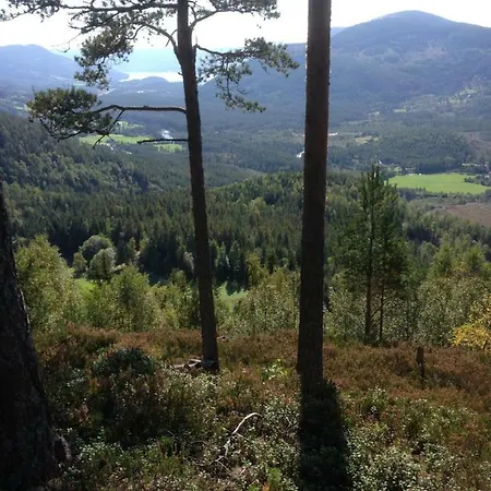 Fyresdal Holiday home *